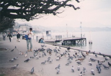 lucerne2.jpg (26164 bytes)