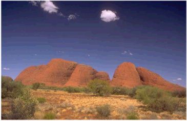 Olgas