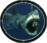 Shark Eating