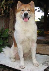 Jinny1