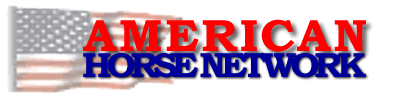 [American Horse Network - image]