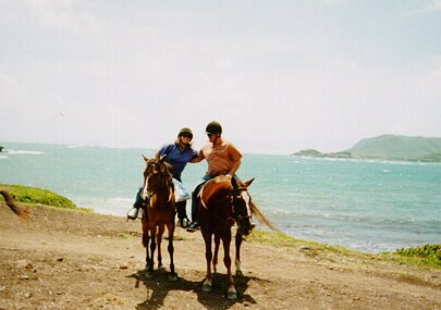 images/bothhorse.jpg