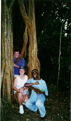 images/rainforest1.jpg
