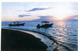wisata selayar