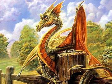 DRAGON ON THE FENCE