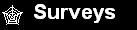 Surveys