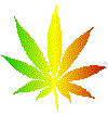 Spinning Leaf