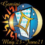 /user/Gemini_wild.jpg