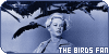The Birds