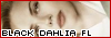 The Black Dahlia