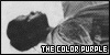 Alice Walker: The Color Purple