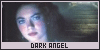 V.C. Andrews: The Castel Series: Dark Angel