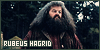 Harry Potter: Rubeus Hagrid