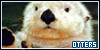 Otters