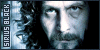 Harry Potter: Sirius 'Padfoot' Black