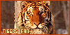 Tigers