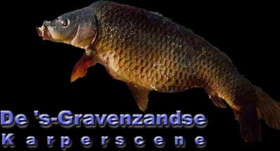 sgravenzandsekarperscene
