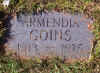 armendia goins.jpg (55969 bytes)