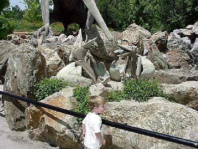 DINO106.JPG