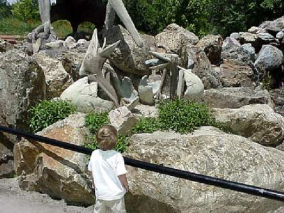 DINO112.JPG