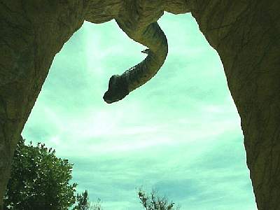 DINO115.jpg