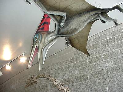 DINO124.JPG