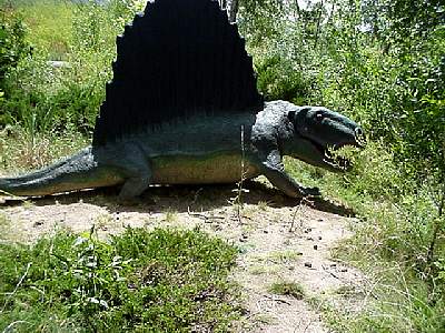 DINO211.JPG