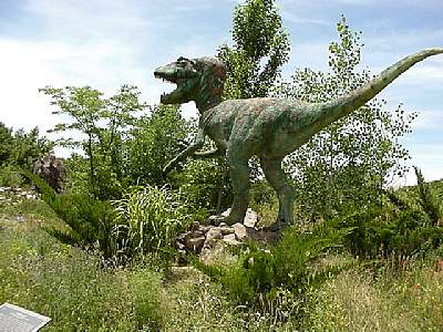 DINO227.JPG
