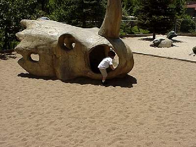 DINO233.JPG