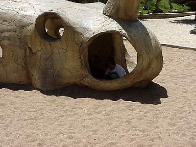 DINO236.JPG