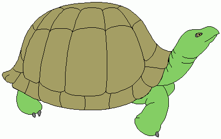 Tortoise