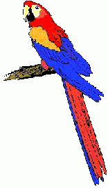 Parrot