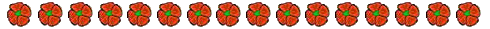  Poppies