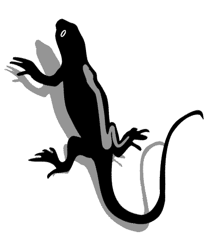 lizard