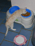 Dscn0163.jpg