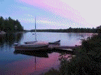 wolf lake animation scenes