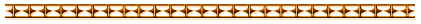 --Divider--