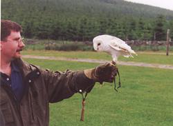 Wally and a Snow Owl