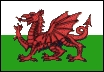 dragon.gif (2667 bytes)