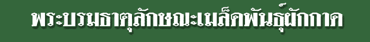 tt4.gif (4084 bytes)