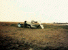 wpe77831.gif (228022 bytes)