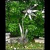 full view of silver flower