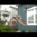 another view of the eagle