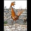 rooster