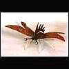 Regular bug