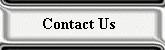 Contact Us Button
