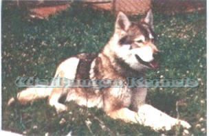 keisha
