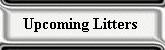 Up Coming Litters Button