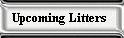 Upcoming Litters button
