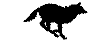 wolfrun